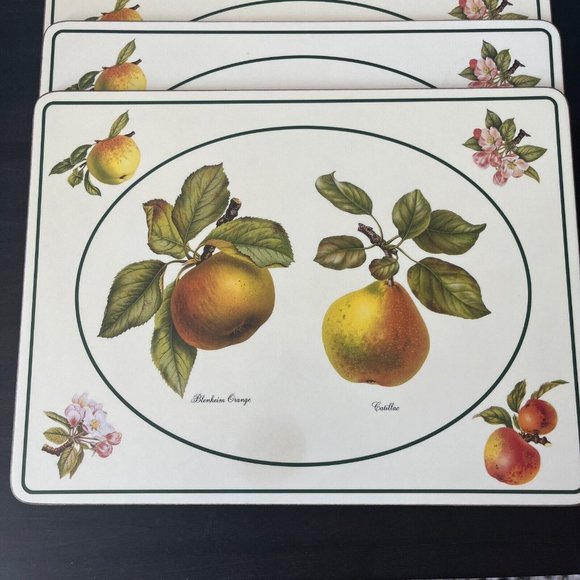 Royal Table Cork-Backed Placemats 12"X9" FRUIT CLASSICS Set of 4 In Box England - Picture 2 of 8